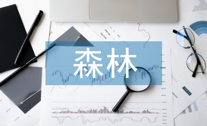 如何預(yù)防森林火災(zāi)