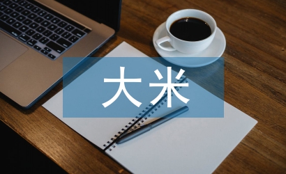 大米市場工作計(jì)劃