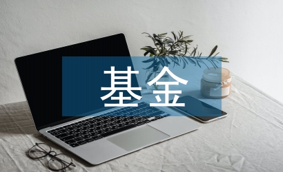 基金規(guī)模論文