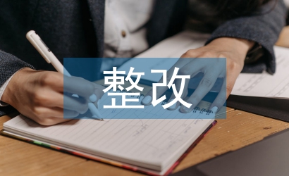 以案促改整改報告