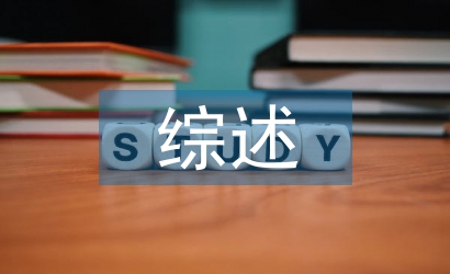 電子商務(wù)的文獻(xiàn)綜述